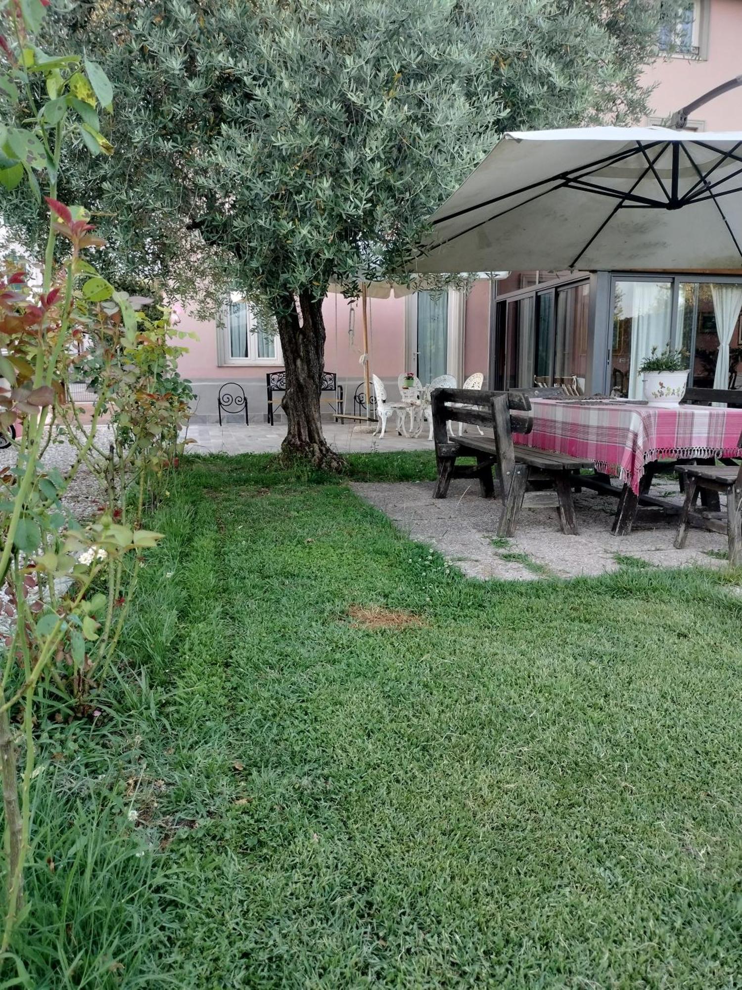 B&B La Rosa Nel Verde Lucca Exterior photo